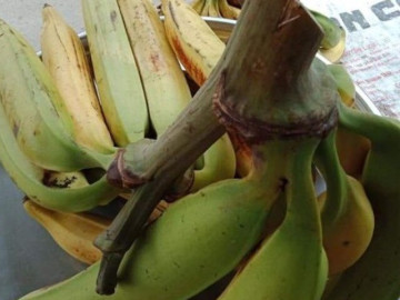 Loại quả có tên rất lạ xưa không ai ngó ngàng, nay thành đặc sản có hương vị đặc biệt, tốt cho mẹ bầu