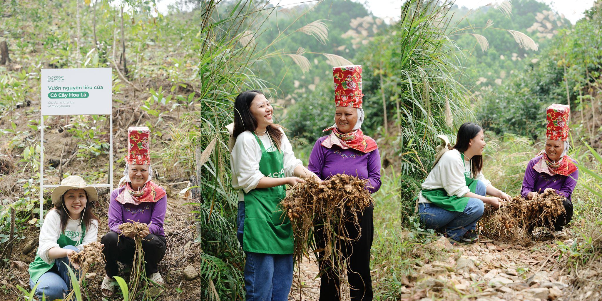 Cỏ Cây Hoa Lá lựa chọn nông sản Việt đồng hành cùng chặng đường phát triển