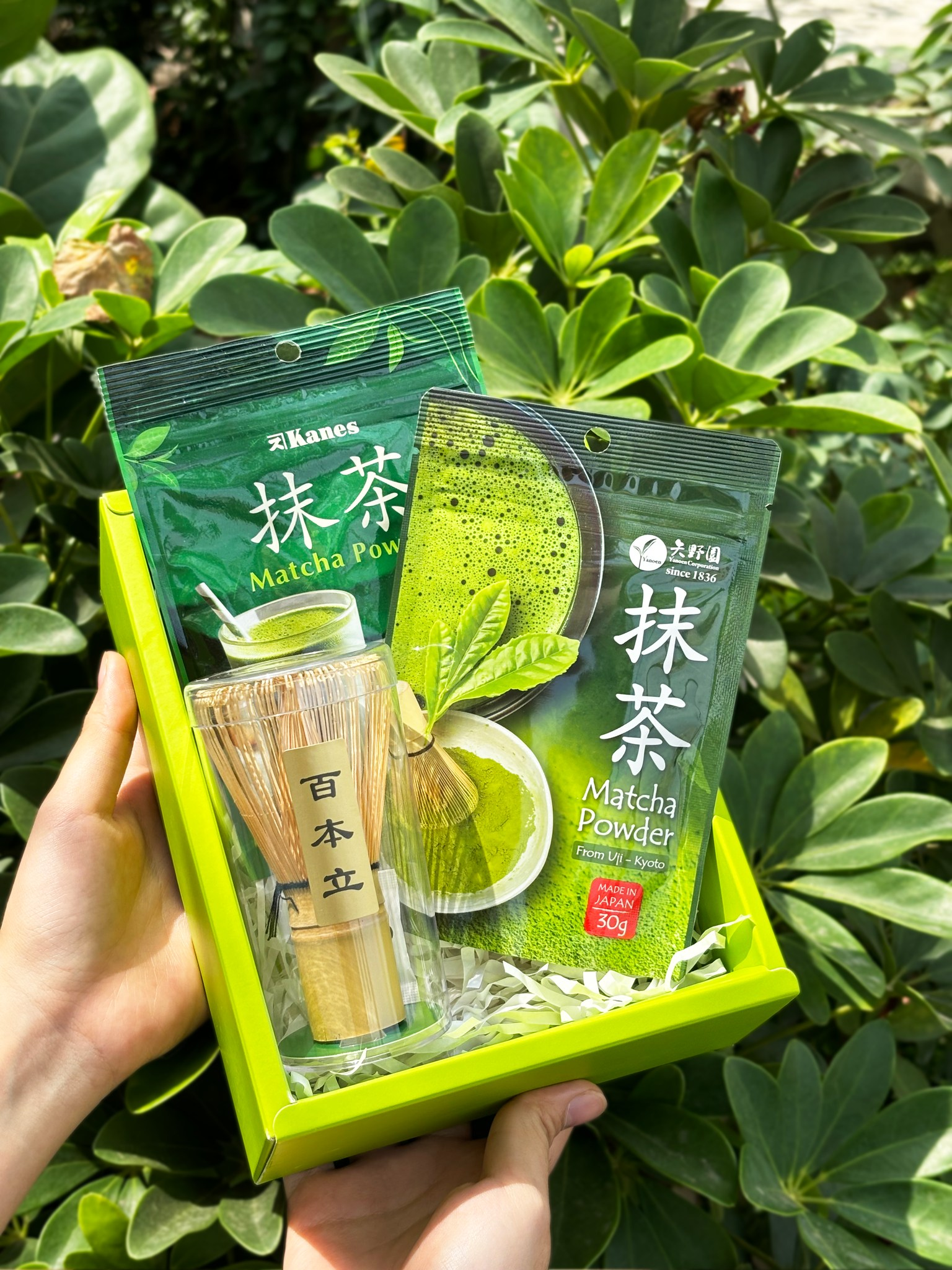 Matcha, bột trà xanh từ lá trà non vụ xuân, nổi bật với màu sắc xanh tươi nịnh mắt, là nguồn cung cấp chất chống oxy hóa mạnh mẽ