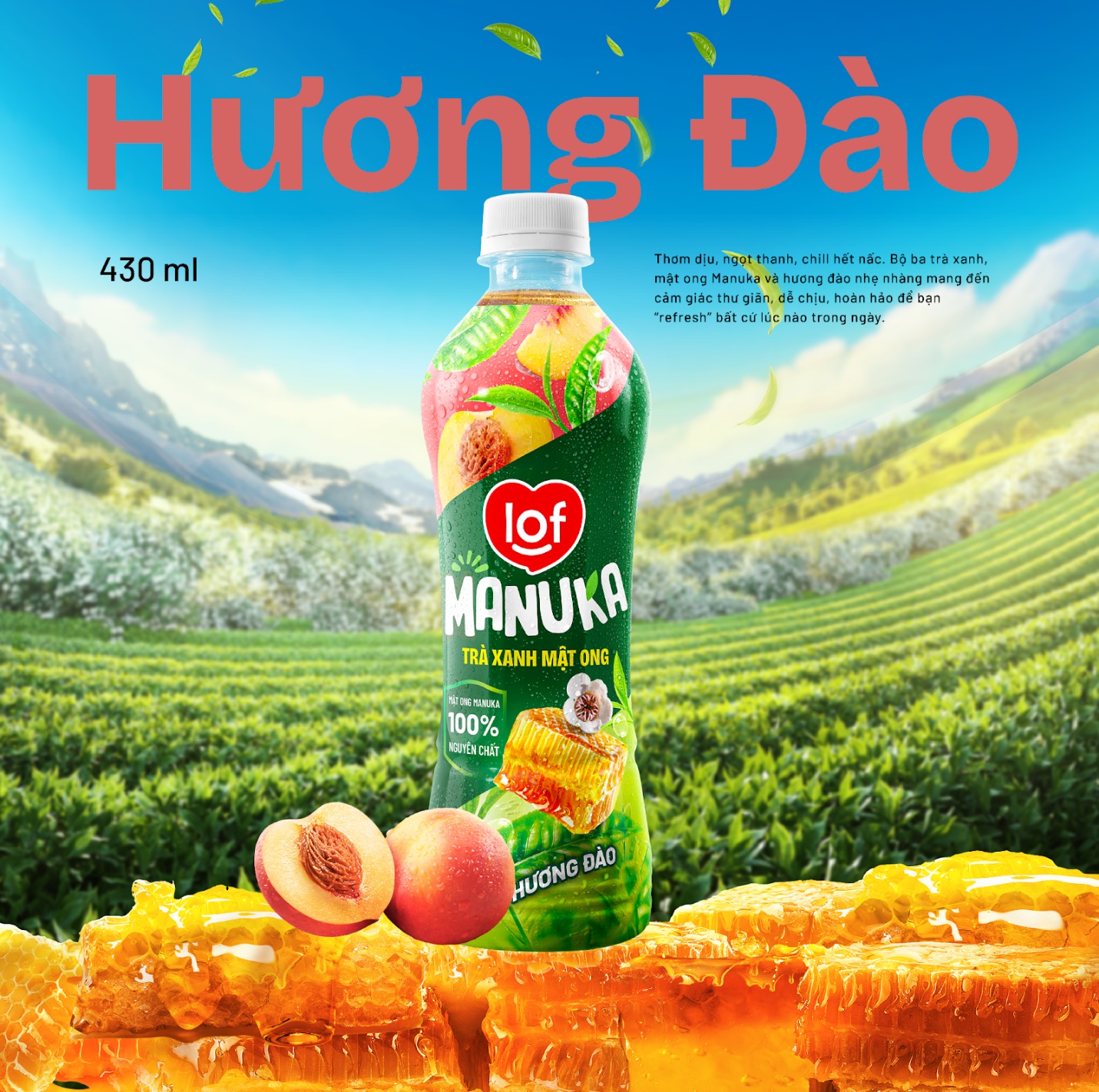 LOF chính thức ra mắt dòng trà xanh mật ong Lof Manuka với lời khẳng định “Trà ngon mật quý” - 5