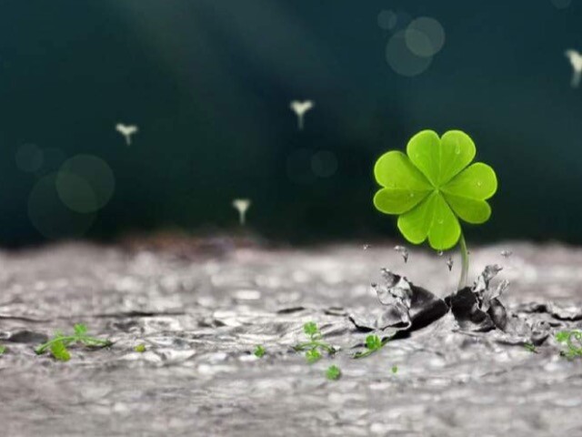 Lưu ý trong việc sử dụng vật phẩm phong thủy giúp gia tăng sự may mắn khi thi cử