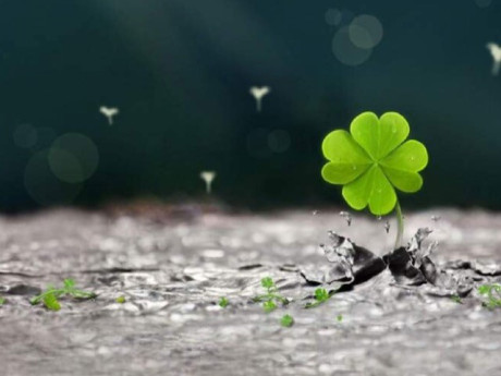 Lưu ý trong việc sử dụng vật phẩm phong thủy giúp gia tăng sự may mắn khi thi cử