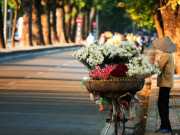 Tin tức - Miền Bắc đón tin vui thời tiết sau đợt không khí lạnh tràn về gây mưa rét