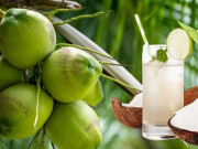 Sức khỏe - Loại quả nổi tiếng ở Bến Tre, uống vào giúp thanh lọc cơ thể, giữ dáng đẹp da nhưng 5 nhóm người này tuyệt đối không nên dùng!