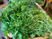 Sức khỏe - 12 loại rau mùa hè dễ nhiễm ký sinh trùng được bán đầy chợ Việt, 5.000 đồng là mua được, khi ăn cần chú ý một điều