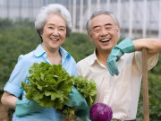 Sức khỏe - Người sống thọ thường có đặc điểm gì trên cơ thể? Bí quyết sống lâu không hề khó nhưng cần thực hiện thường xuyên