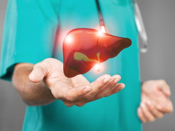 7 thay đổi nhỏ tưởng chẳng đáng gì, hóa ra lại là “tín hiệu vàng” cho thấy gan đang dần phục hồi