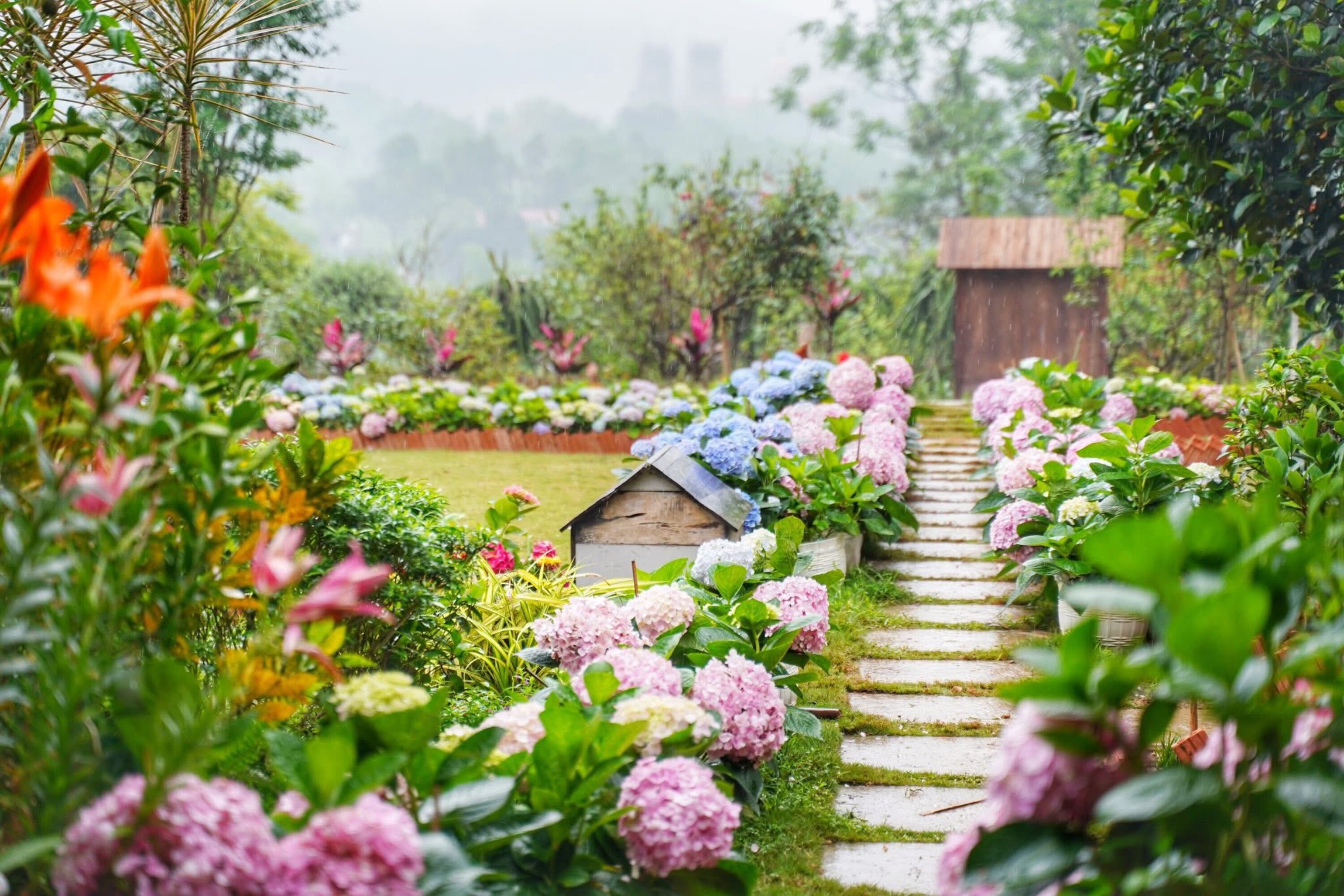 Cô gái 9X Yên Bái bỏ phố về quê, dành 4 năm làm nhà vườn đẹp như tranh - 17