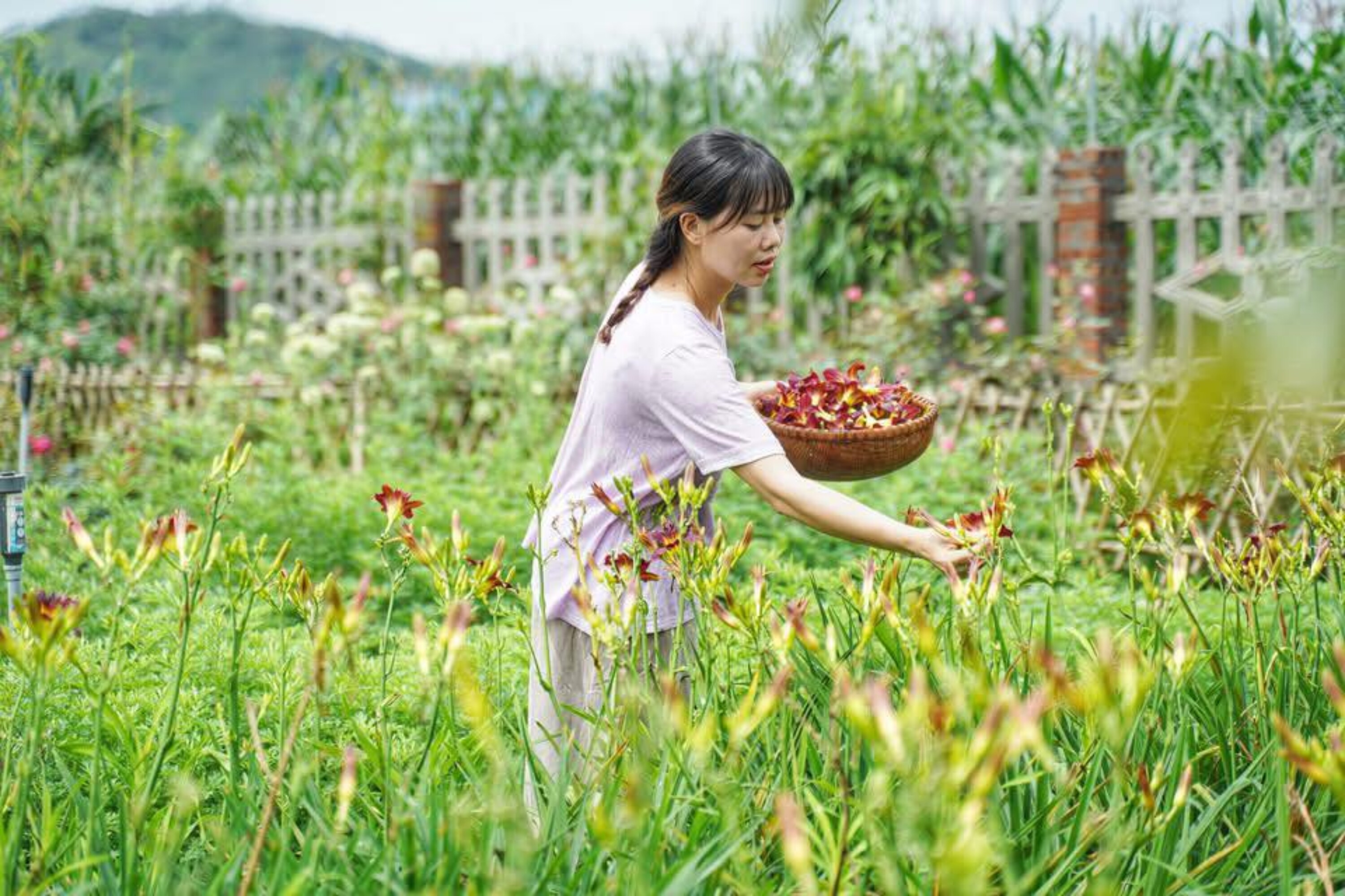 Cô gái 9X Yên Bái bỏ phố về quê, dành 4 năm làm nhà vườn đẹp như tranh - 9