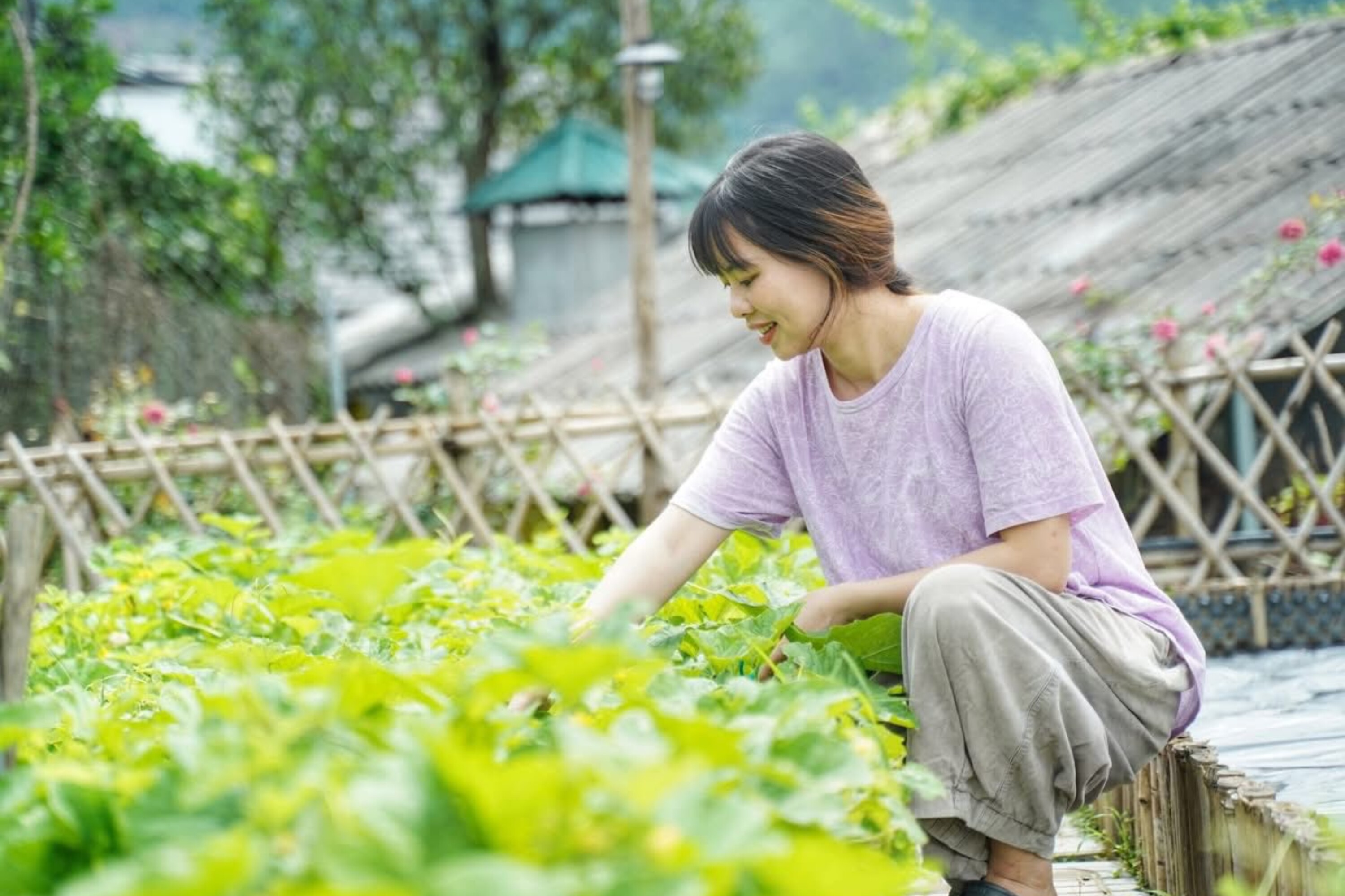 Cô gái 9X Yên Bái bỏ phố về quê, dành 4 năm làm nhà vườn đẹp như tranh - 10