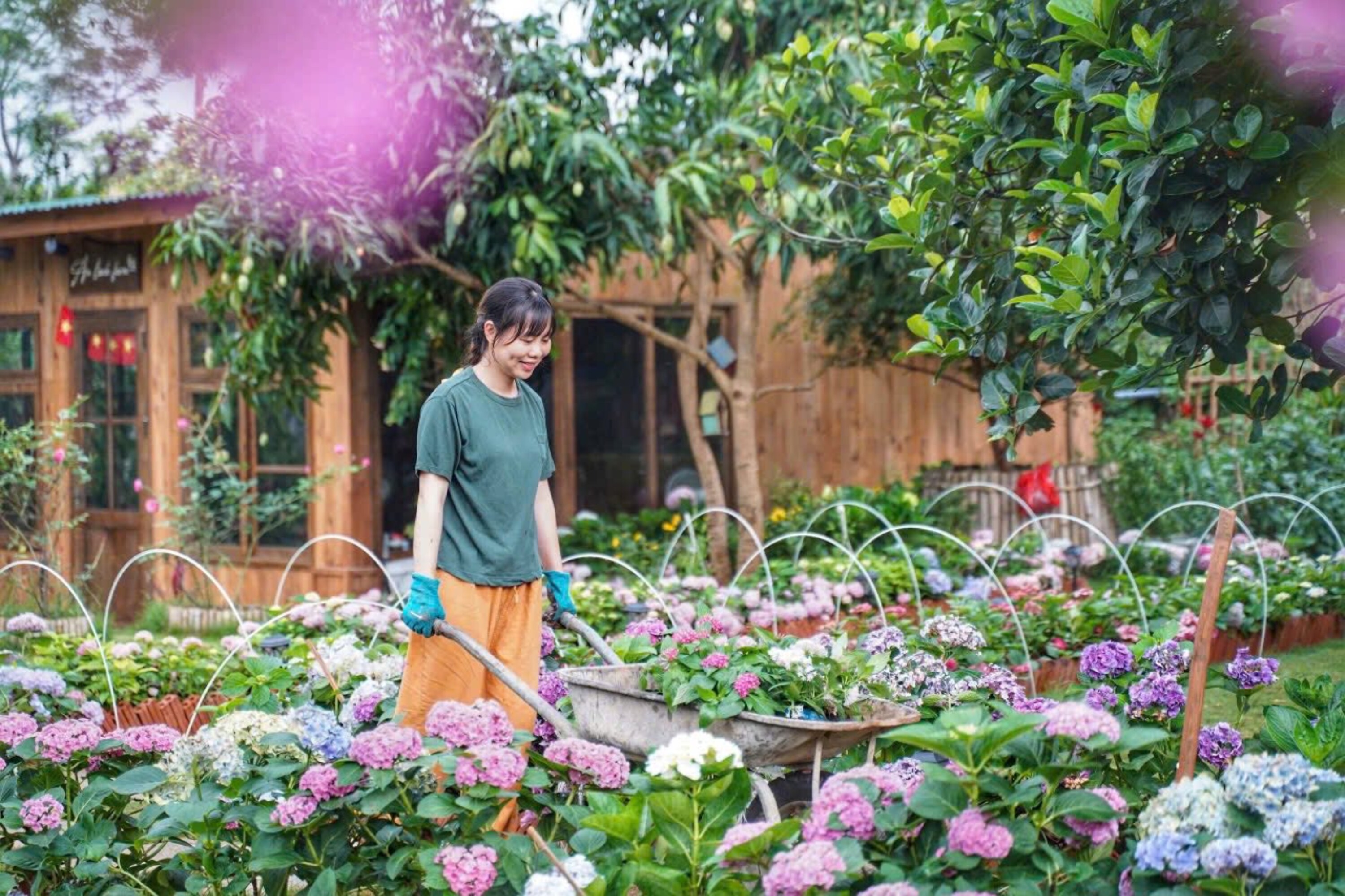 Cô gái 9X Yên Bái bỏ phố về quê, dành 4 năm làm nhà vườn đẹp như tranh - 11