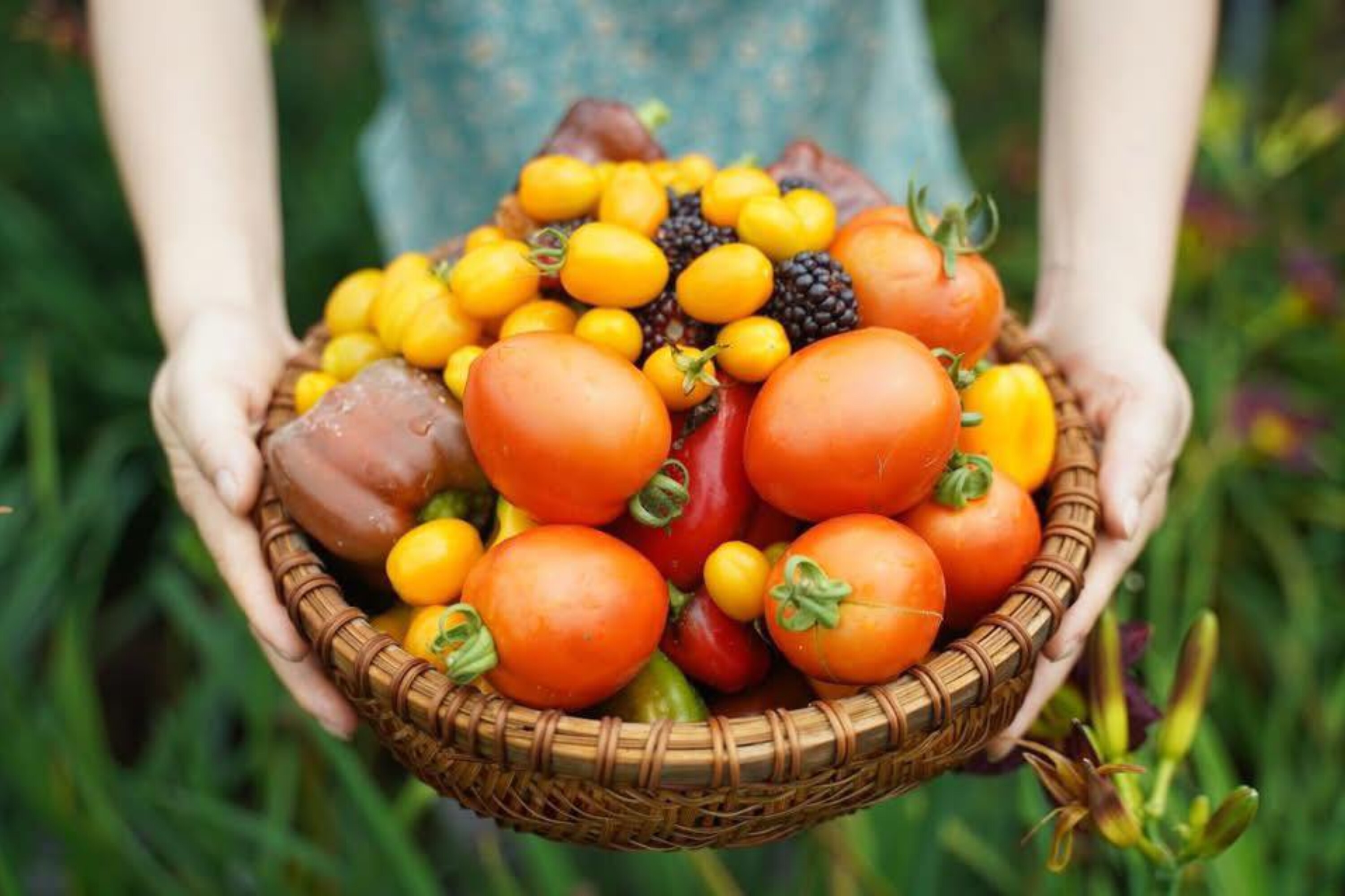 Cô gái 9X Yên Bái bỏ phố về quê, dành 4 năm làm nhà vườn đẹp như tranh - 14