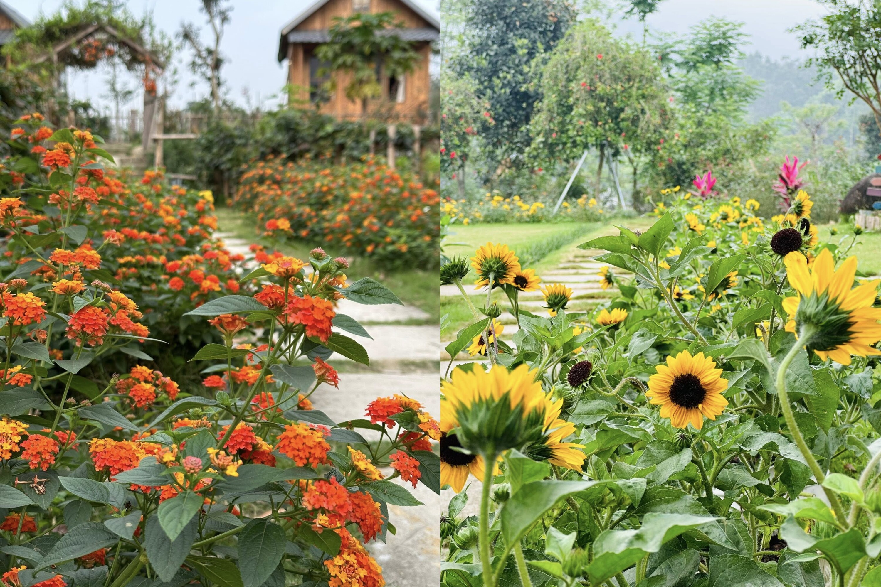 Cô gái 9X Yên Bái bỏ phố về quê, dành 4 năm làm nhà vườn đẹp như tranh - 16