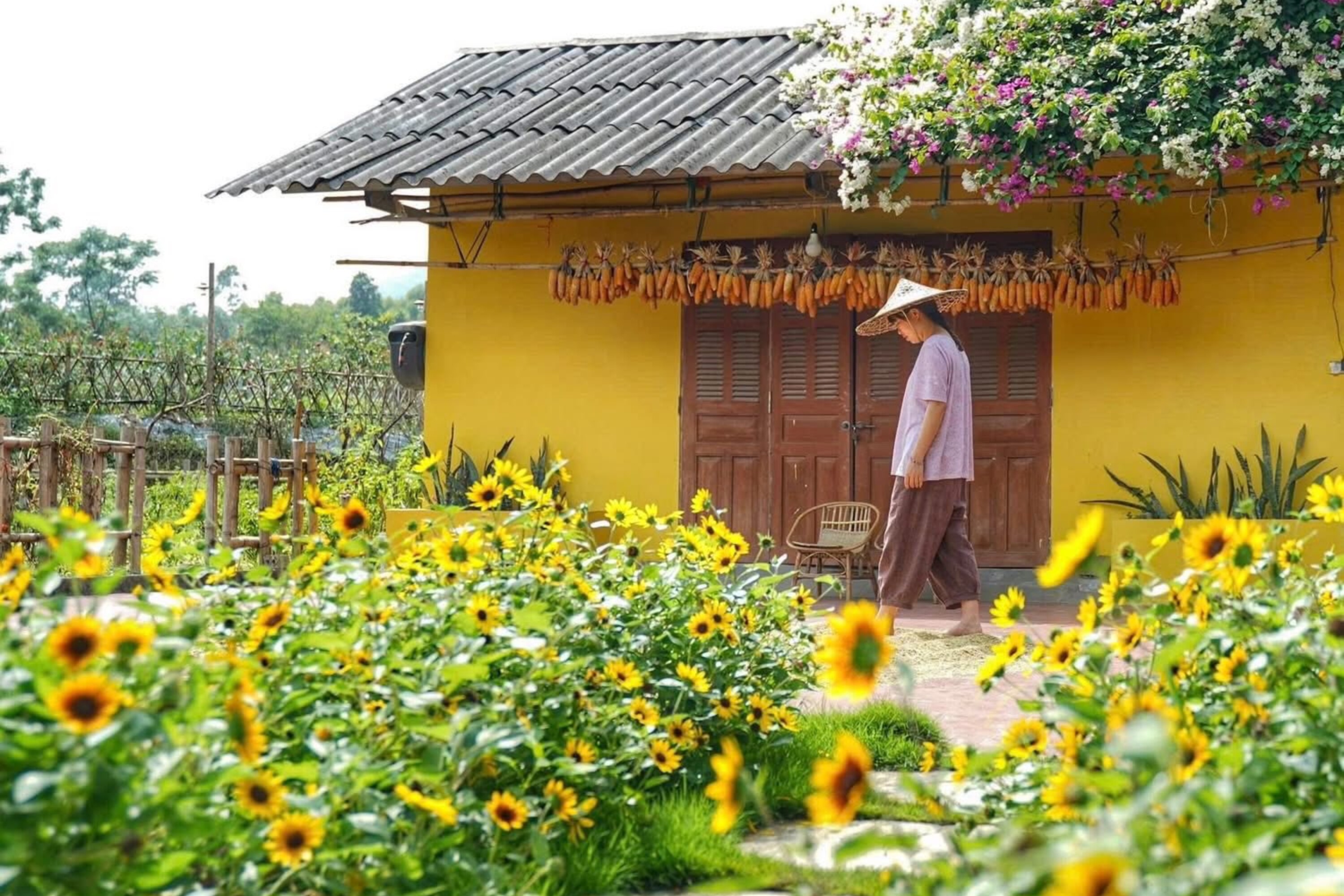 Cô gái 9X Yên Bái bỏ phố về quê, dành 4 năm làm nhà vườn đẹp như tranh - 4
