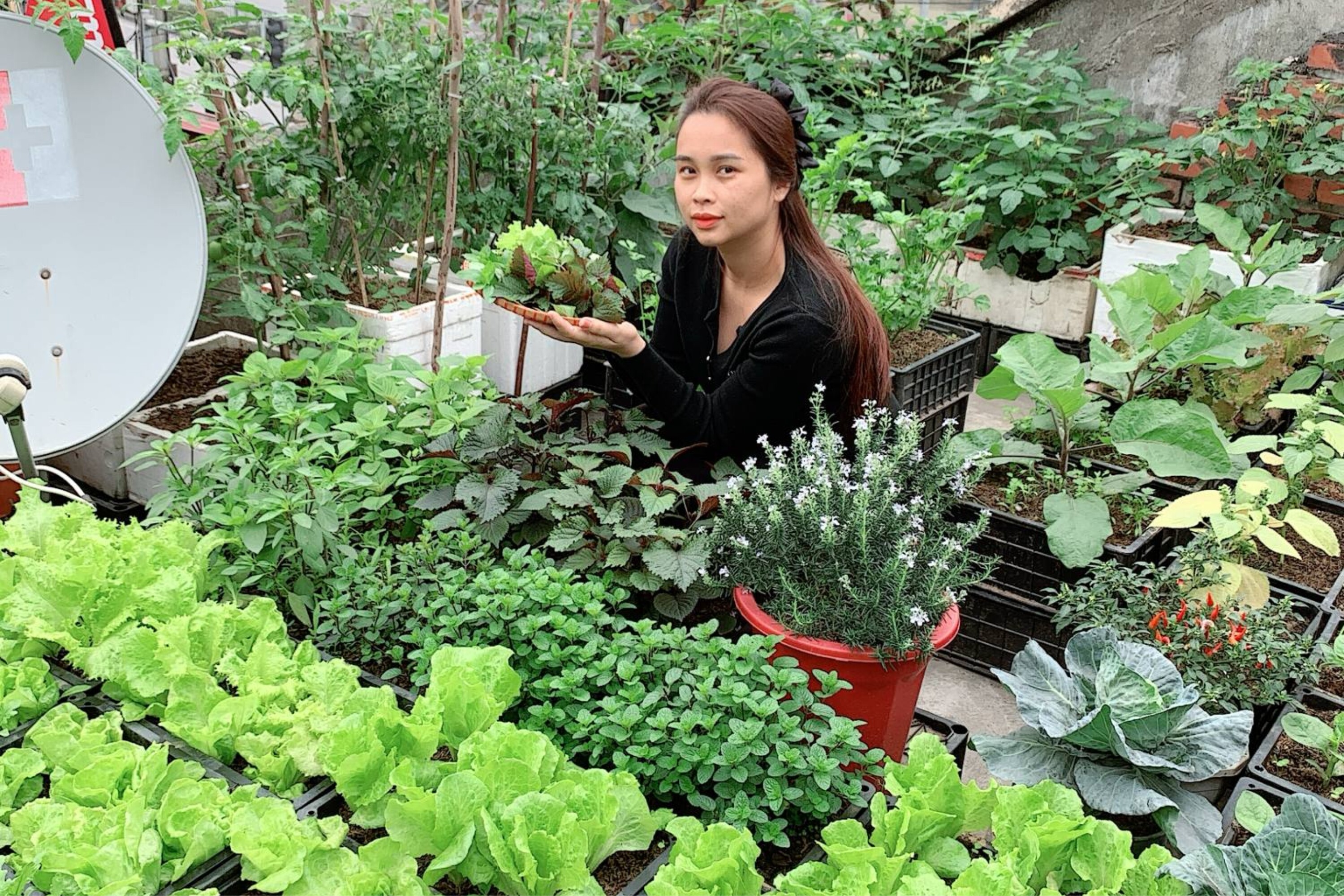 Chị Dung chụp cùng khu vườn trên sân thượng do chính tay mình chăm sóc.