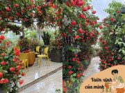 Mẹ Hà Nội "chơi lớn" tự tay cắm 5000 bông hồng, phủ sắc đỏ rực trên sân thượng 200m mừng Lễ 30/4