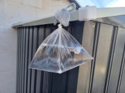 Nhà đẹp - Cứ đến hè là nhiều gia đình lại treo túi nước ở trước cửa nhà, lý do không phải ai cũng biết?