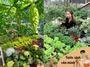 Nhà đẹp - Mẹ 9X Quảng Ninh xây khu vườn trên sân thượng, chỉ 15m2 nhưng rau quả gì cũng có