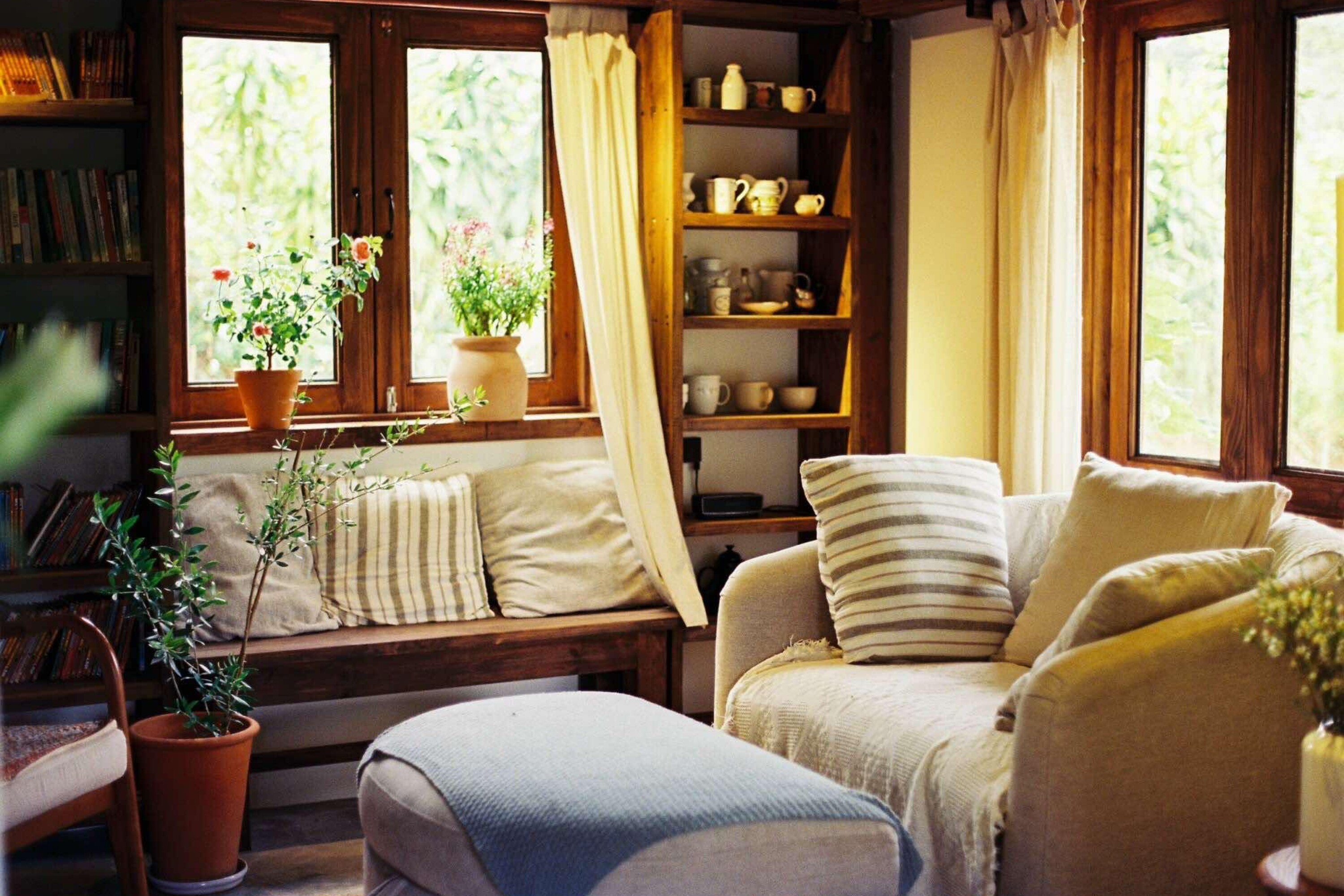 Cặp vợ chồng trẻ xây nhà gỗ rộng 1.000m2 trên cao nguyên Bảo Lộc, vừa đẹp vừa thơ mộng, không gian cực chữa lành - 5