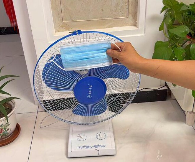 Xem thêm: 5 loại cây dễ trồng có khả năng đuổi muỗi hiệu quả cho gia đình