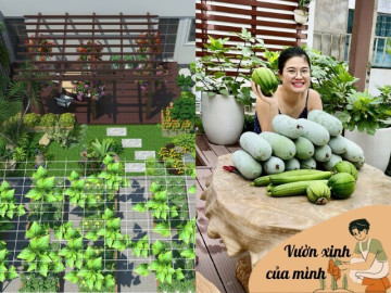 Mẹ 4 con Hà Nội bỏ 200 triệu làm khu vườn 100m2 trên sân thượng, nhìn giàn rau củ xanh mướt mà mê