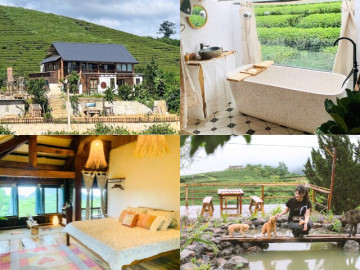 Bỏ phố về cao nguyên, cặp vợ chồng trẻ chi 2 tỷ đồng xây ngôi nhà gỗ đẹp như tranh giữa đồi chè xanh ngát