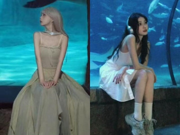 Bật mí góc "sống ảo" cực đẹp ở thủy cung, giới trẻ như lạc vào thế giới cổ tích