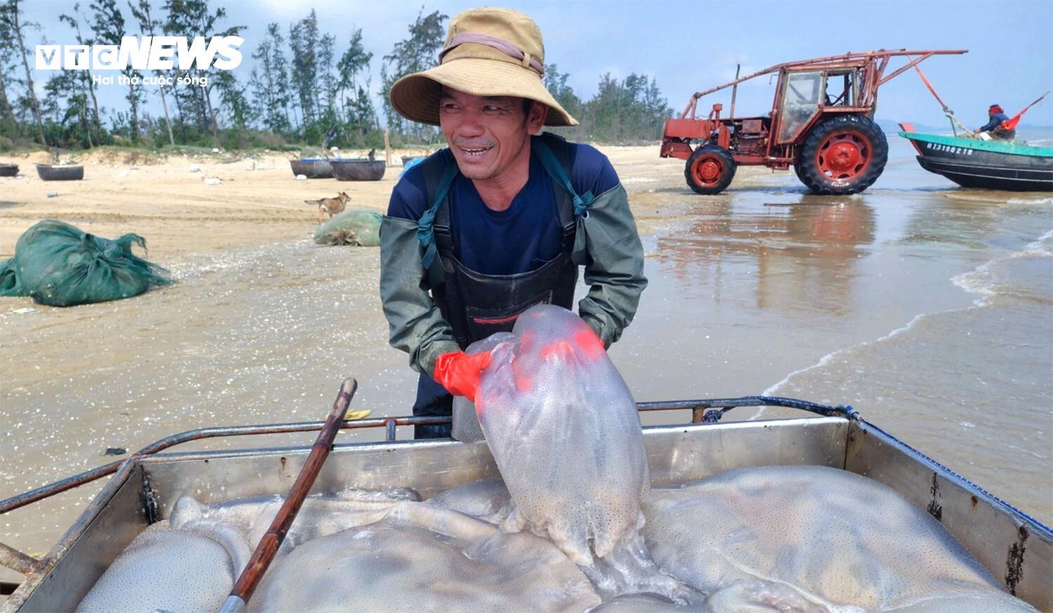 Theo ngư dân xã Hải Châu, sứa biển là loài dễ khai thác, không đòi hỏi kỹ thuật phức tạp nhưng phụ thuộc lớn vào điều kiện thời tiết và dòng chảy. Mỗi ngày, các bè mảng có thể đi 1 - 2 chuyến, linh hoạt theo con nước, thường khai thác ở vùng cách bờ từ 1 - 4 hải lý.