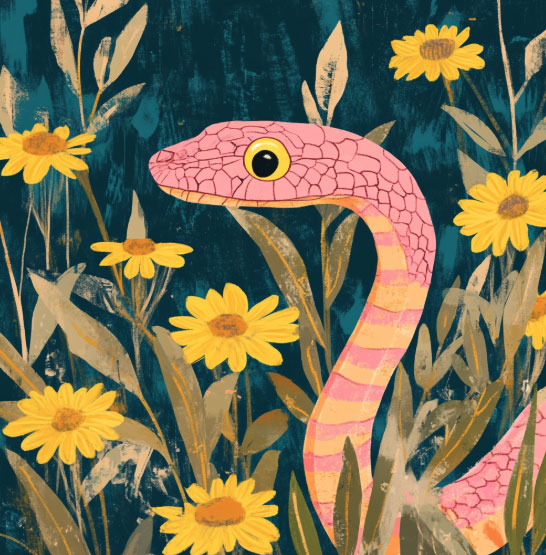 Sự dứt khoát của con giáp Tỵ không phải vì họ lạnh lùng, mà vì họ hiểu giá trị của bản thân. Ảnh minh họa