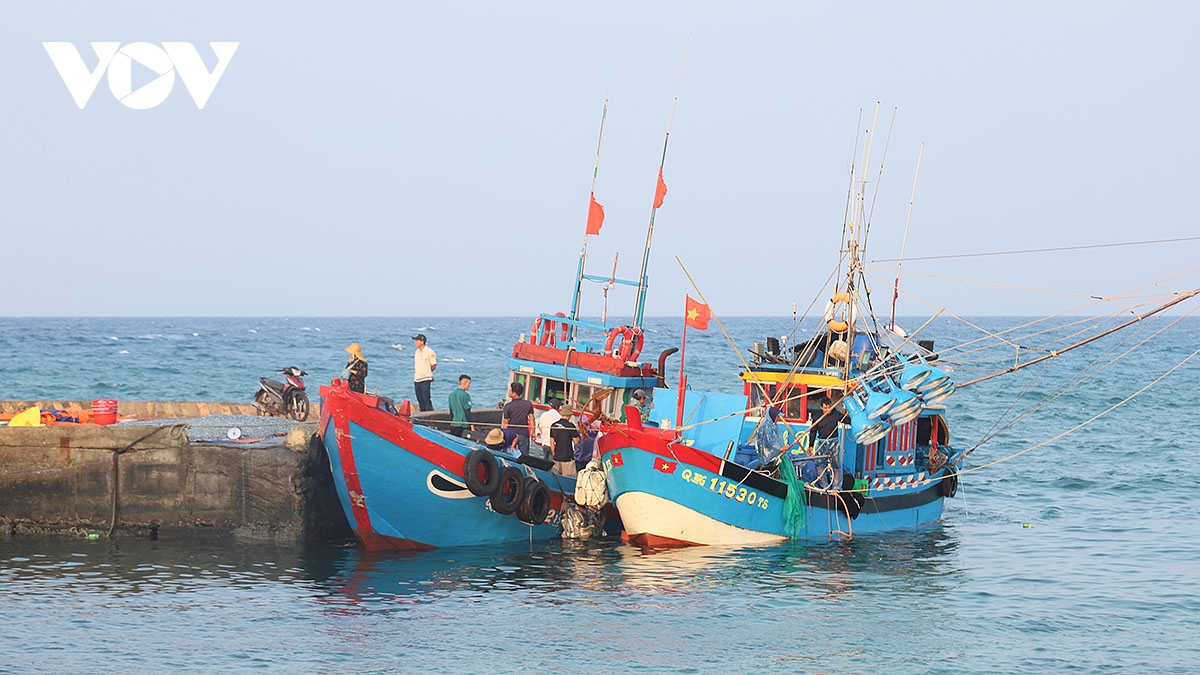 Tàu cá của ngư dân cập cảng Lý Sơn để bán hải sản. 