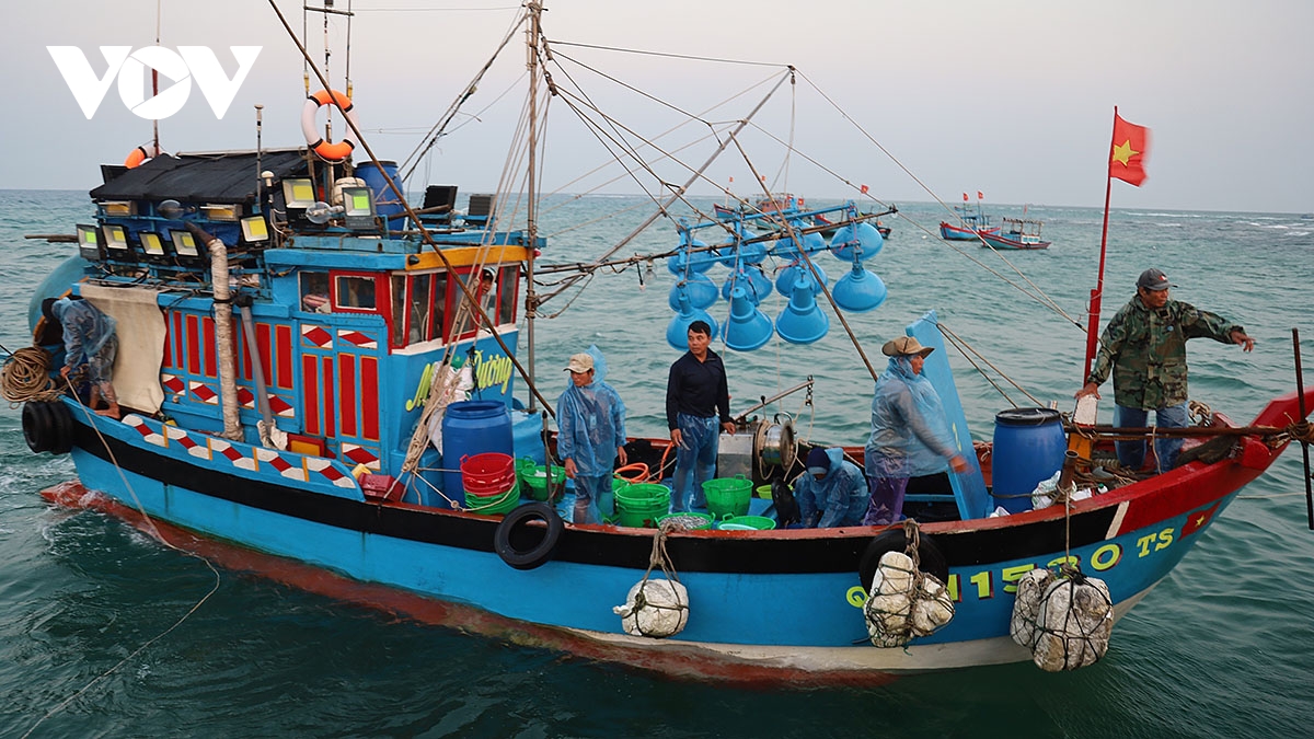 Ánh nắng đầu ngày ở đảo Lý Sơn dần lan rộng, soi rõ những gương mặt rám nắng, những bàn tay chai sạn vì sóng gió. 