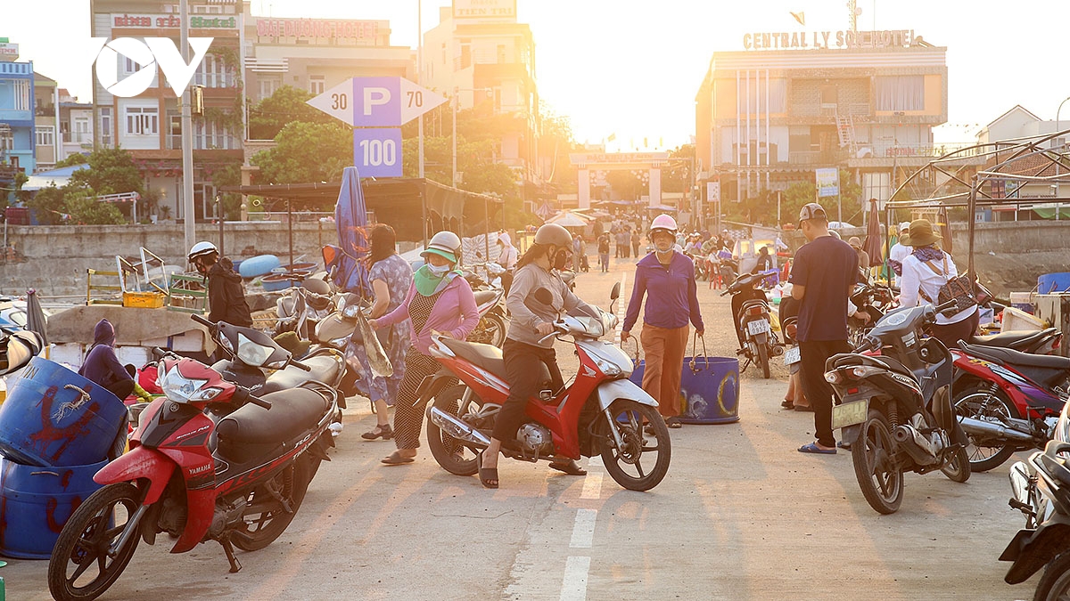 Cảng Lý Sơn nhộn nhịp vào mỗi buổi sáng. 