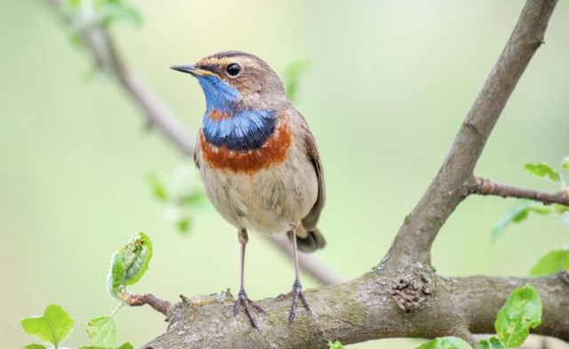 Những người có ngày sinh Âm lịch kết thúc bằng số 6 thường nhạy bén với tiền bạc, biết tính toán và quản lý tài chính. Ảnh minh họa