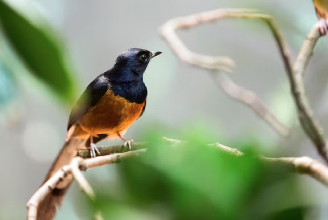 Tài lộc tuy đến chậm nhưng bền, giúp người có ngày sinh Âm lịch kết thúc bằng số 0 duy trì cuộc sống an yên khi về già. Ảnh minh họa