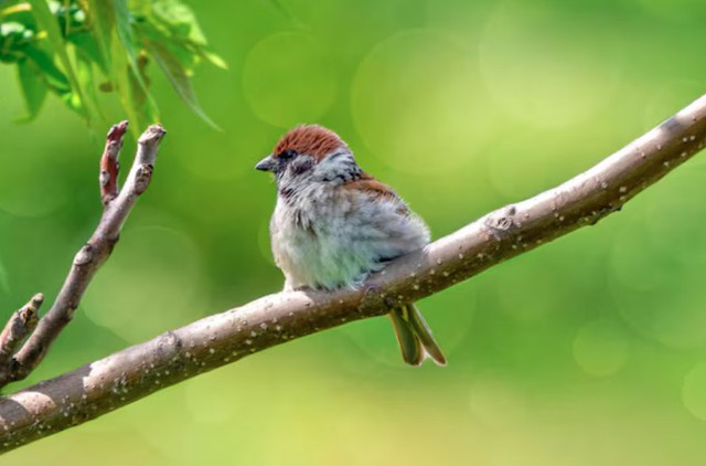 Số cuối ngày sinh Âm lịch mang mệnh amp;#34;hút tiềnamp;#34;: Thần Tài theo sát, sự nghiệp vững vàng - 3