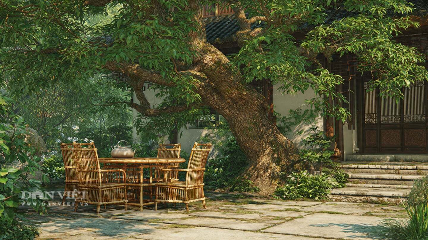 Người xưa cho rằng, loài cây này không chỉ là một cái cây mà còn là ngân hàng xanh bạn để cho cháu chắt hàng trăm năm sau của mình.