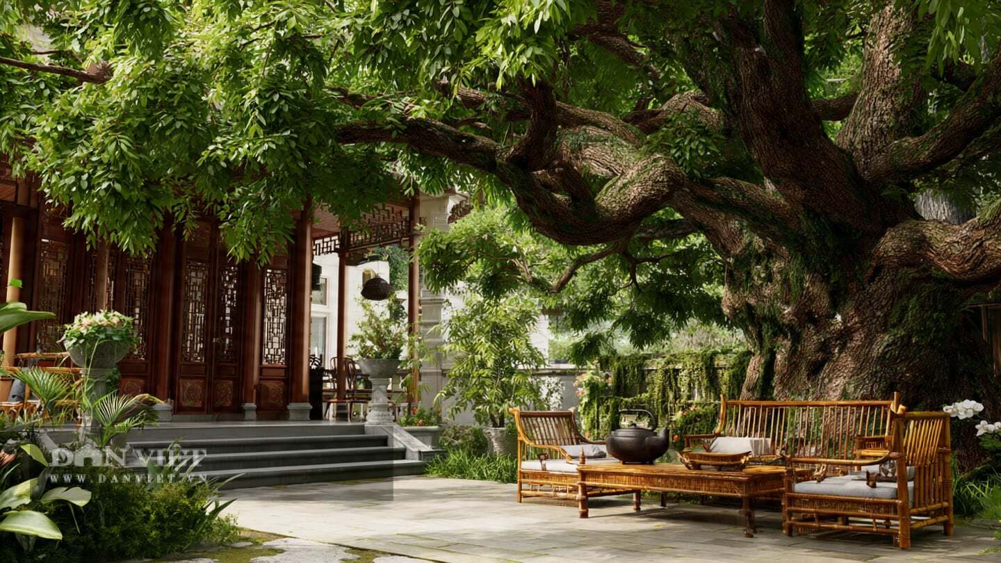 Người xưa cũng có câu: Cha ông trồng cây, con cháu hưởng bóng mát.