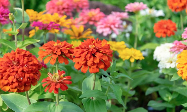 Theo quan niệm dân gian, sinh vào tháng 5 Âm lịch được xem là gặp đúng thiên thời. Ảnh minh họa