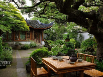 Người xưa dặn: 3 cây quý hơn vàng, trồng trong sân chiêu tài, vượng khí, bảo vệ gia đình qua nhiều thế hệ