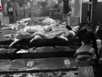 Vụ 300 tấn thịt lợn bẩn: Cán bộ kiểm dịch tự đặt ra quy định thu lời bất chính 2,5 tỷ đồng