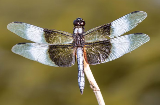 Người có ngày sinh Âm lịch kết thúc bằng số 0 không chỉ nỗ lực tạo dựng nền tảng vật chất mà còn chăm chút đời sống tinh thần của các thành viên. Ảnh minh họa