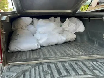 Phát hiện gần 300kg gà chết bốc mùi chuẩn bị tiêu thụ