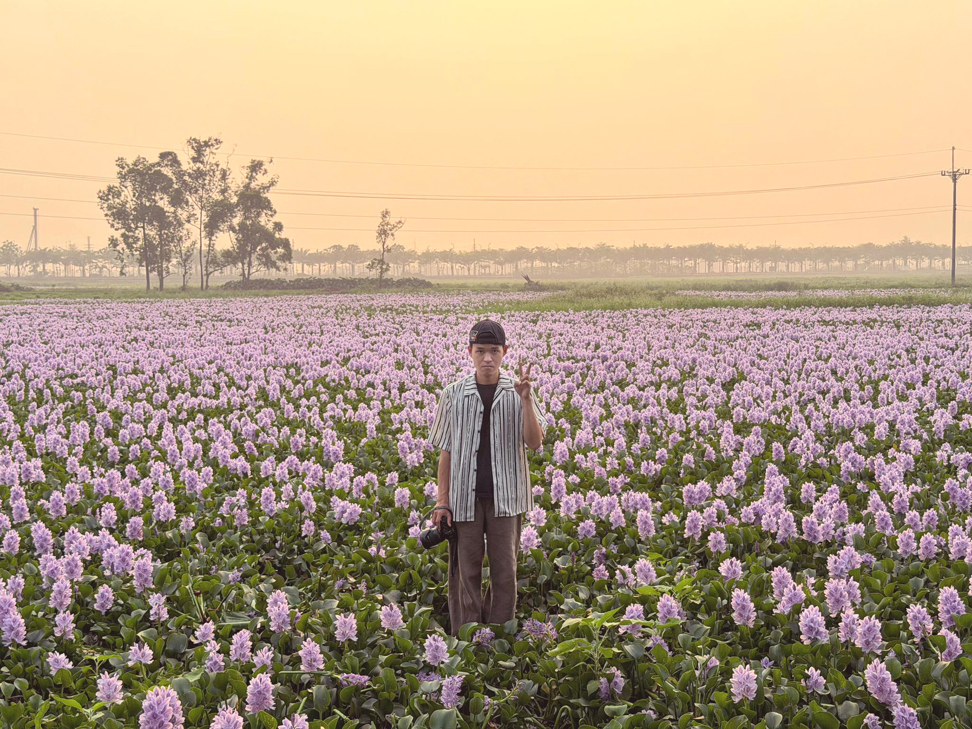 Hoa lục bình ở ngoại ô Hà Nội nở rộ, khách đi 16km tới chụp ảnh, đón hoàng hôn 23 Du khách có thể ghé cánh đồng lục bình vào lúc chiều tà, kết hợp ngắm hoàng hôn lãng mạn