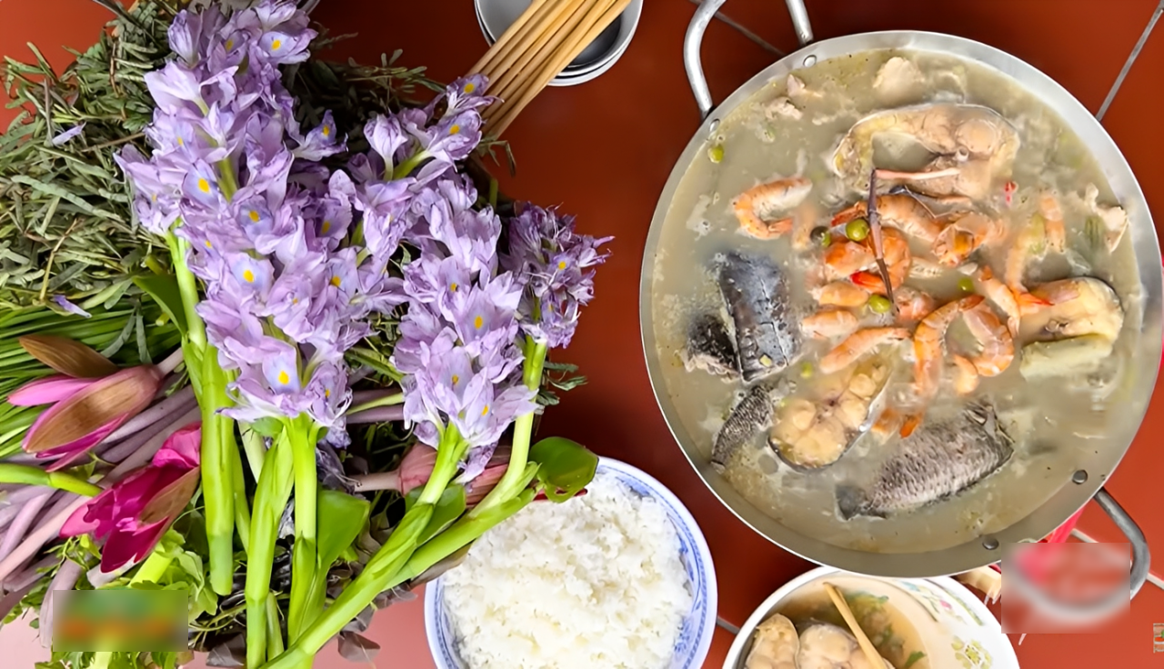 Hoa lục bình ở ngoại ô Hà Nội nở rộ, khách đi 16km tới chụp ảnh, đón hoàng hôn 26 Hoa lục bình là phần non nhất của cây, người dân thường dùng ăn tươi với các món cá kho, lẩu mắm hay mắm kho... Ảnh: Đặc sản miền sông nước