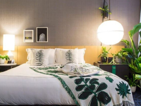 Để có giấc ngủ ngon, giảm stress, nên đặt cây này trong phòng ngủ