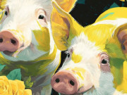 Eva tám - Đừng ngây thơ nữa: Đây là biểu hiện khi 12 con giáp nam khi thay lòng