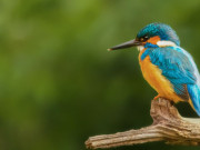 Eva tám - 3 khung giờ Âm lịch sinh ra "đứa trẻ phú quý": Tương lai rộng mở, bố mẹ an nhàn tuổi già