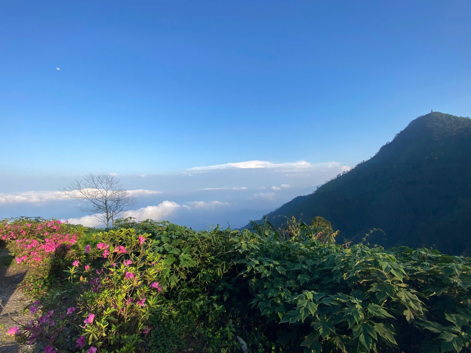 Địa điểm cách Hà Nội 60km có thể săn mây cả ngày, khách đến 4 lần chưa chán 20 Khung cảnh ở Vườn Quốc gia Ba Vì mùa hoa đỗ quyên tháng 3 khiến vị khách Hà Nội say mê, tới săn mây 4 lần chưa chán. Ảnh: Nguyễn Thị Thảo Hương