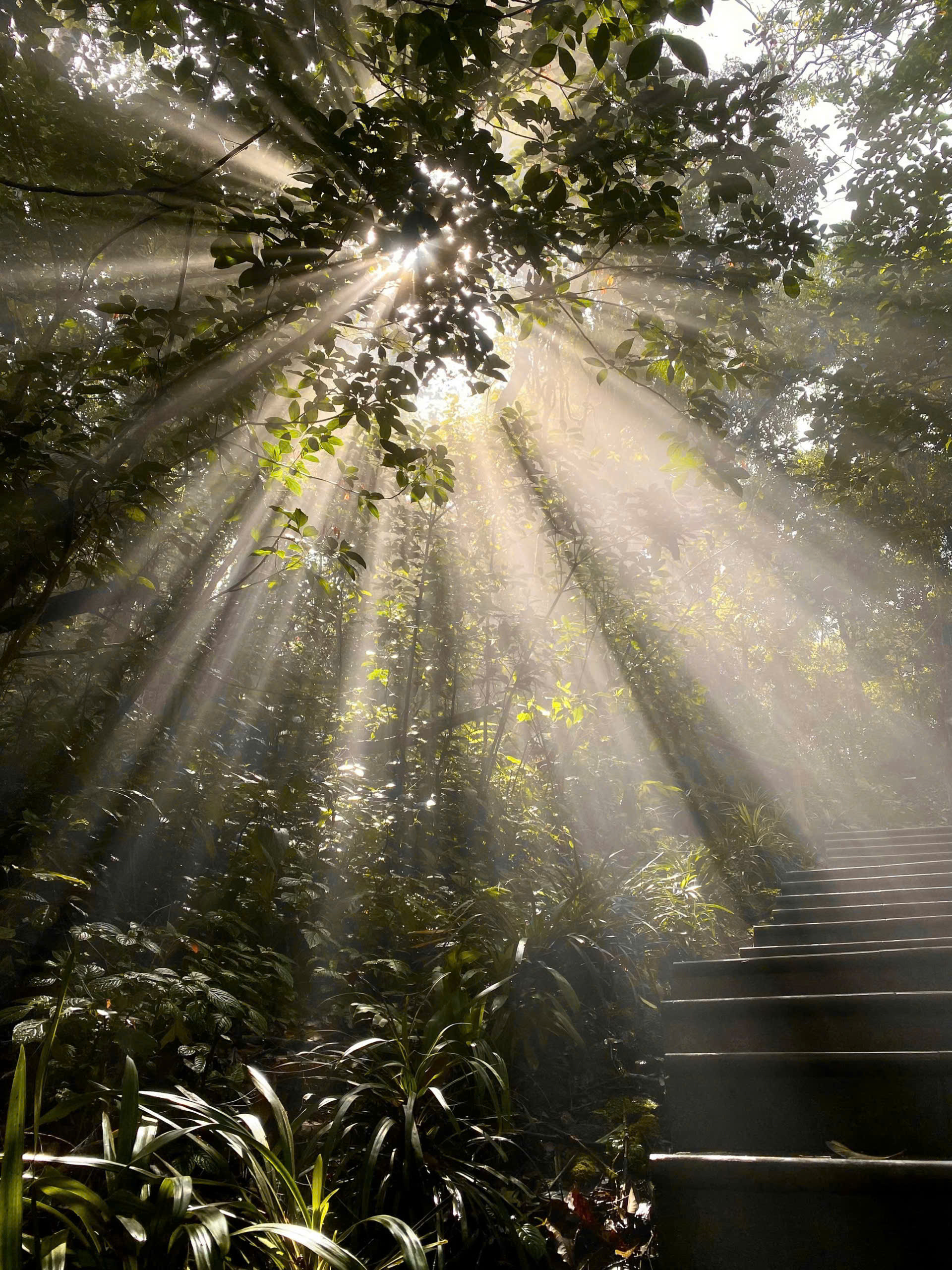 Địa điểm cách Hà Nội 60km có thể săn mây cả ngày, khách đến 4 lần chưa chán 22 Địa điểm cách Hà Nội 60km có thể săn mây cả ngày, khách đến 4 lần chưa chán - 4