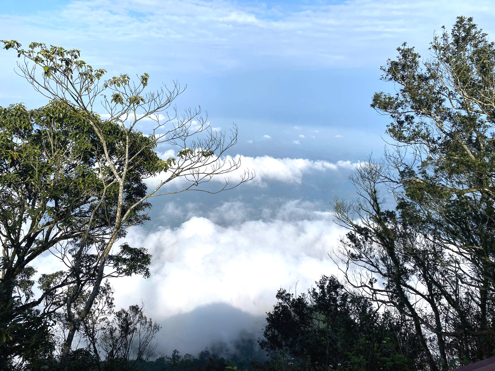 Địa điểm cách Hà Nội 60km có thể săn mây cả ngày, khách đến 4 lần chưa chán 24 Cô gái Hà Nội săn mây thành công ở Vườn Quốc gia Ba Vì dù khi lên đến nơi đã là giữa trưa. Ảnh: Nguyễn Thị Thảo Hương